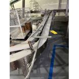 Tabletop Conveyor Section, Removal/Loading Fee $475