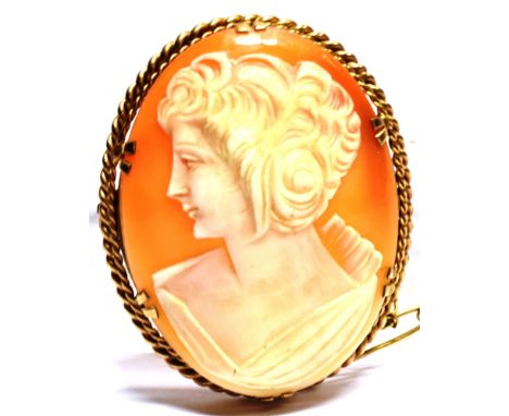 A 9 CARAT GOLD OVAL SHELL CAMEO BROOCH the oval cameo with carved portrait of a young lady, yellow gold claw set to a rope tw