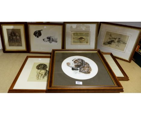 Monica Hartley: head portrait of a Springer spaniel; 6 other pictures of gun dogs
