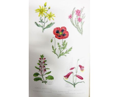 [NATURAL HISTORY]. BOTANY Maund, B. The Botanic Garden; Consisting of Highly Finished Figures of Hardy Ornamental Flowering P