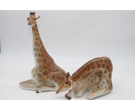 Two Russian Lomonosov figures of recumbent giraffes, height of largest 30cm (2)