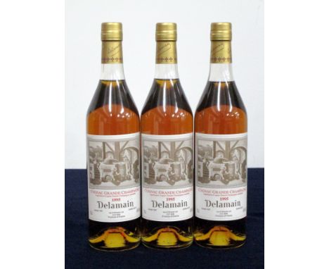 v 3 bts Delamain Cognac Grande Champagne 1995 landed 1997 bottled 2013
