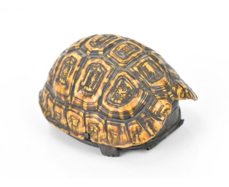 A novelty tortoiseshell snuff box, made from the outer body of a hatchling, mounted with white metal, 6.5 cm long 