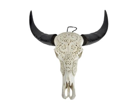 Taxidermy: A decoratively carved Cows Skull, with horns, approx. 66cms (26") wide. (1)