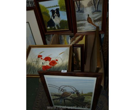 A quantity of Oil paintings by B. Evans including poppies, seascape, owl, sheepdog and pheasant, and a framed limited edition