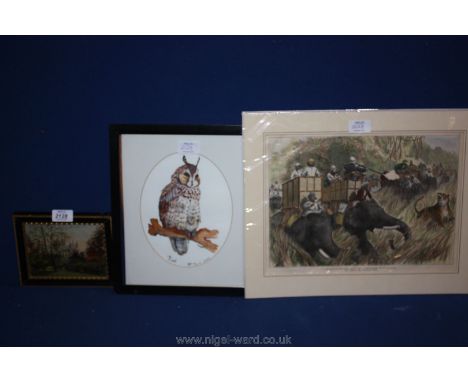 Three pictures including a framed oil painting, framed Owl and print 'The Prince of Wales Tiger Shooting with Sir Jung Bahado