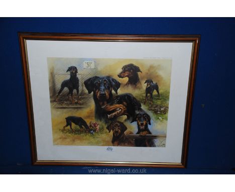 A limited edition Print entitled Dobermann Pinschers, by Mick Cawston 1988, no. 565/850, 24 1/2" x 20 1/2".