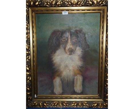 A gilt framed Oil on canvas depicting a spaniel, signed lower right K. Dewey 1923, 18'' x 24''