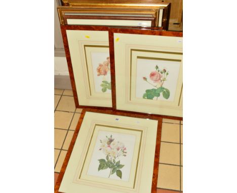 SEVEN FRAMED BOTANICAL STUDY PRINTS OF A VARIETY OF FLOWERS IN BLOOM, all mounted, framed and glazed, approximate largest siz