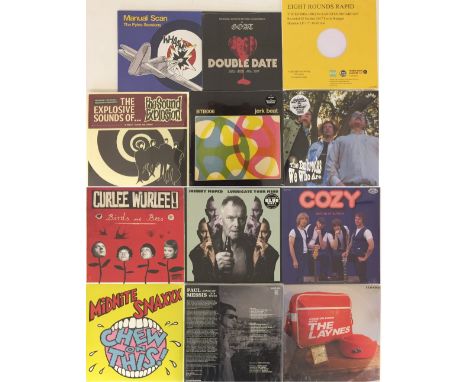 90s - 2000s / PUNK / GARAGE / PSYCH / ALTERNATIVE - LPs/10". Ace collection of 18 x (mainly) LPs and 2 x 10", including some 
