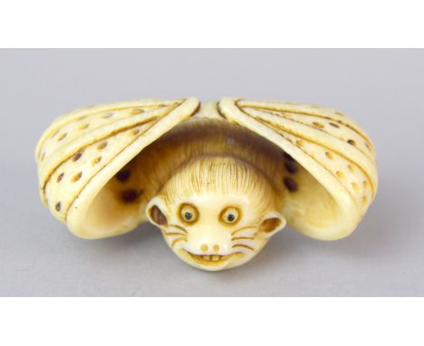 Ivory Netsuke in the shape of a Bat signed at base 3x6x4cm