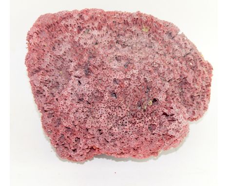 Large coral item