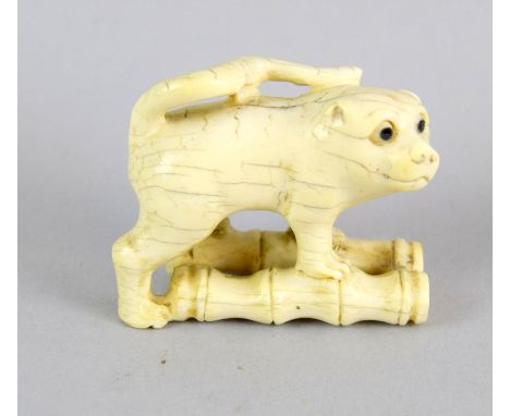 Ivory Netsuke in the shape of animal on Bamboo with coloured eyes signed at the base 4cm tall