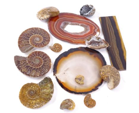 Opal ammonite fossils, agate shard slices, tigers eye panel etc 