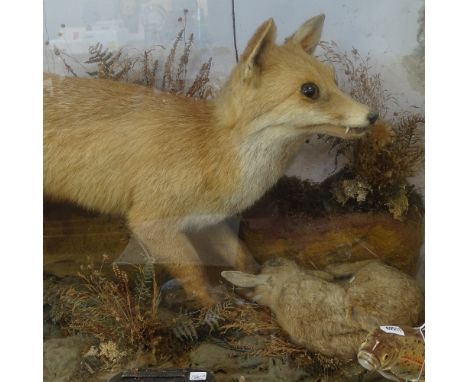 TAXIDERMY - a hunting fox with rabbit, in naturalistic surround and glazed case, case length 115cm, height 65cm 