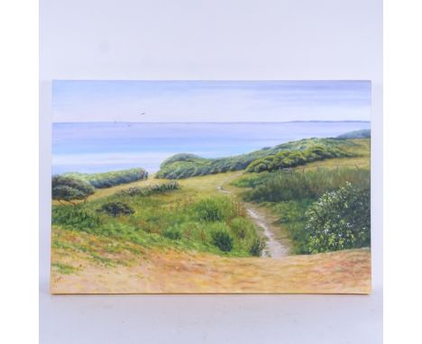 Sheila Marshall, oil on canvas, the Firehills Hastings, 51cm x 76cm 