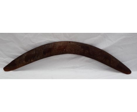 An Aboriginal boomerang with chip carved decoration of emus and kangaroos, 54.5cm long