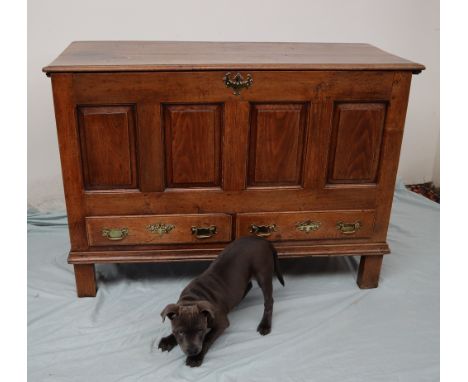 An 18th century oak coffer, the rectangular planked top above a four panel front and two drawers on bracket feet, 127cm wide 