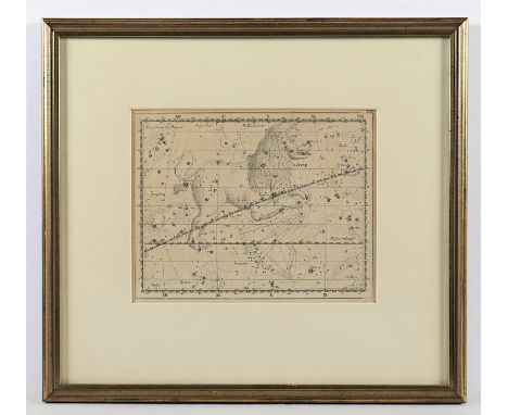 STERNBILD LÖWE, Kupferstich, 18 x 22,5, um 1790, R. 