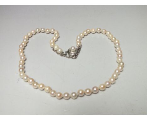 A SINGLE STRAND FRESHWATER CULTURED PEARL NECKLACE, having 18ct white gold clasp with pearl decoration and attached safety ch