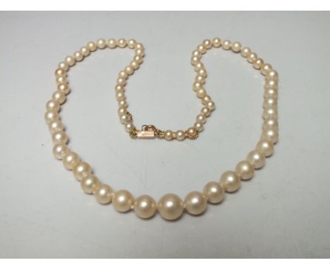 A SINGLE STRAND GRADUATED FRESHWATER CULTURED PEARL NECKLACE, having 9ct gold clasp stamped 'Ciro' with attached safety chain