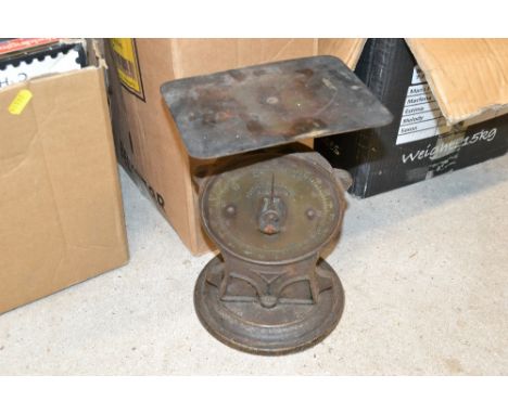 A box containing a set of Salter spring scales 