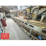 Tuttle S/S Frame Belt Conveyor: 21' Length x 29'' Width with Drive (Location: Allentown, PA)