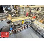 S/S Frame Transfer Conveyor: 25" Width (Location: Allentown, PA)