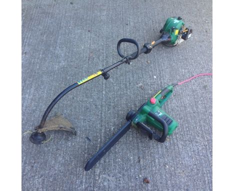 A petrol strimmer, together with an electric chainsaw