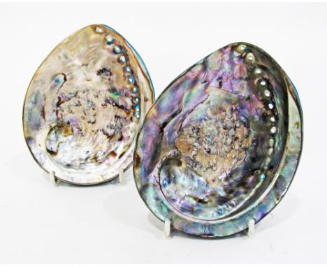 A pair of mother of pearl and blue enamelled back shells, 13X11X4cm