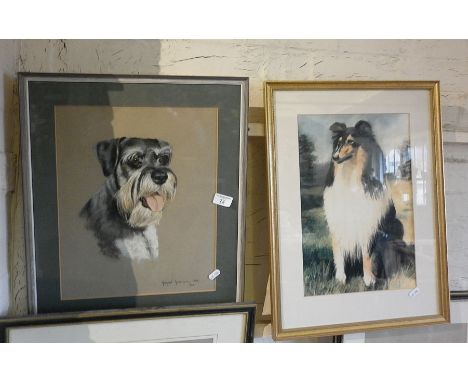 Pastel portrait of a bearded terrier by Margaret Anderson, and a colour print of a collie