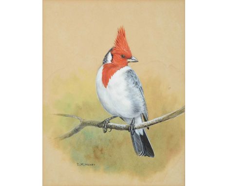 David Morrison Reid Henry (1919-1977)Red Crested Cardinal Signed, gouache, together with a further work by the same hand, "Ru