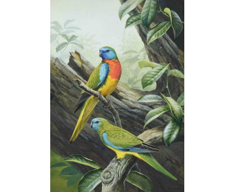 David Morrison Reid Henry (1919-1977)A pair of Scarlet-chested Parrots on a branch Signed, gouache, 35cm by 24.5cmIn a broadl