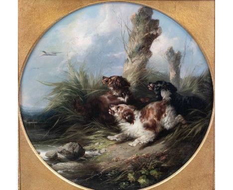George Armfield (1808-1893)Spaniels flushing out DuckSigned and dated 1867?, oil on canvas, 58.5cm (tondo)Relined, cleaned an