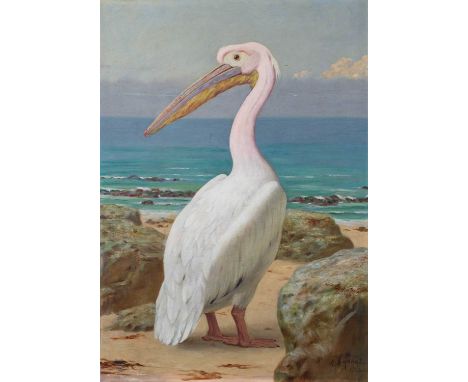 Henry Stacy Marks RA (1829-1898)"Pelican" Signed and dated 1884, with inscribed label verso and dated 1889, fragments of a li