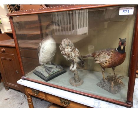  Sale Item:    CASED BIRDS (AF)   Vat Status:   No Vat   Buyers Premium:  This lot is subject to a Buyers Premium of 15% + Va