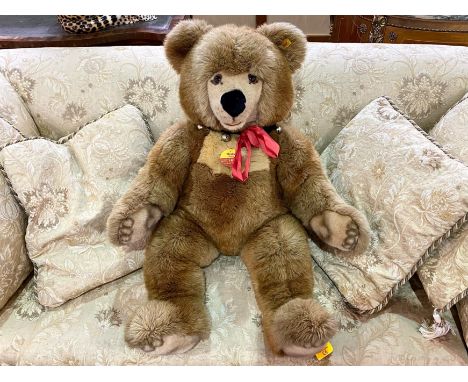 Extra Large Steiff Teddy Bear 'Molly', measures approx 32".  Promotional Bear by Steiff, button in ear and tags.  Lovely cond