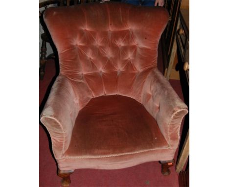 An Edwardian walnut framed and pink button back upholstered armchair