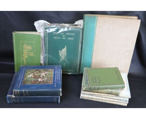 Collection of vintage Books on Natural History