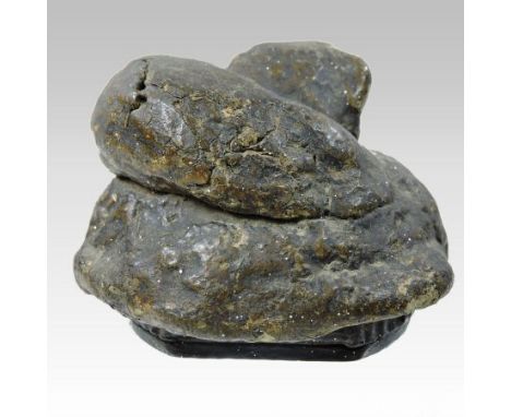 An 18th century novelty papier mache snuff box, in the form of a turd, with a pressed horn hinged cover, 6cm high