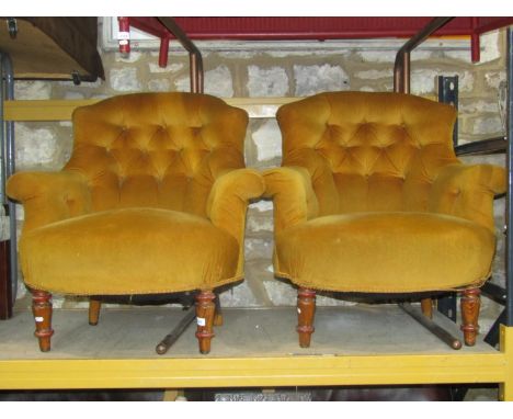A pair of Victorian drawing room chairs with shaped outline, mustard coloured upholstered finish with button backs raised on 