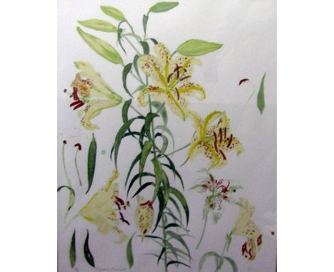 Elizabeth Blackadder RA (British B.1931) - Lilies, signed limited edition print, 63 x 53cm, framed 