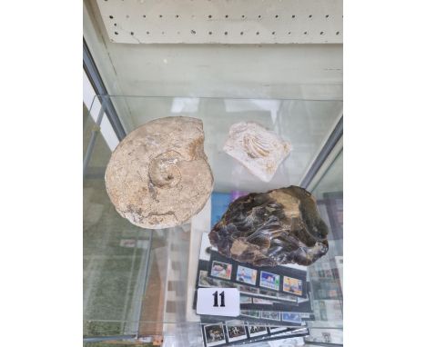 Flint Axe Head and 2 Fossils 