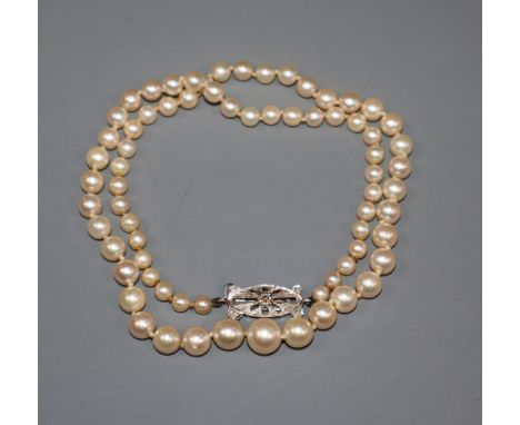 A single strand graduated cultured pearl necklace, with diamond set 9ct white gold clasp, 42cm.