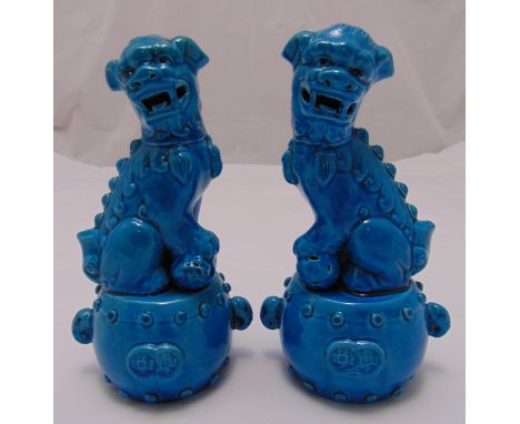 A pair of ceramic of Dogs of Foe, blue ground seated on raised circular bases, 23cm (h)