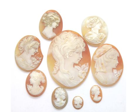Eight shell cameos, largest H: 6 cm. P&amp;P Group 1 (£14+VAT for the first lot and £1+VAT for subsequent lots) 