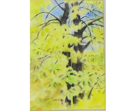 Graham Buchanan-Dunlop 'Trees'  Mixed Media, signed bottom right, in a glazed frame, 24 x 36cm