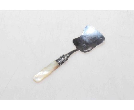 Victorian silver and mother of pearl caddy spoon.