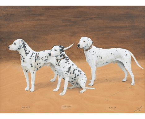 Frances Mabel Hollams (British, 1877-1963)'Buster', 'Shandy', and 'Bluett' - Dalmatians signed and dated 'F.M.HOLLAMS/'36' (l