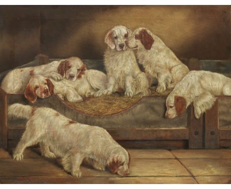 Benedict Angell Hyland (British, 1859-1933)The Duke of Portland's Clumber Spaniels at Welbeck Abbey signed and dated 'B.A.Hyl